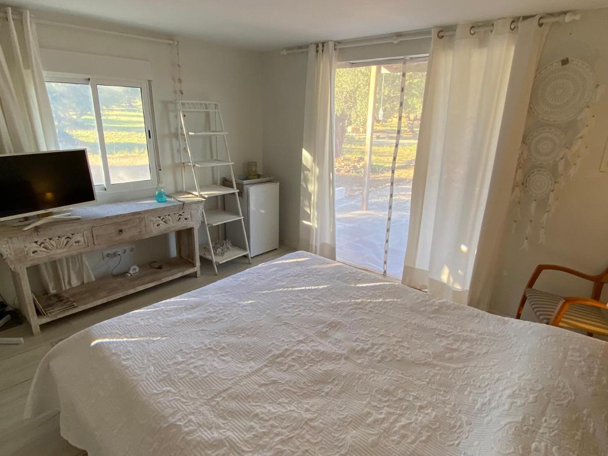 Apartament Alba Studio Campredo Zewnętrze zdjęcie
